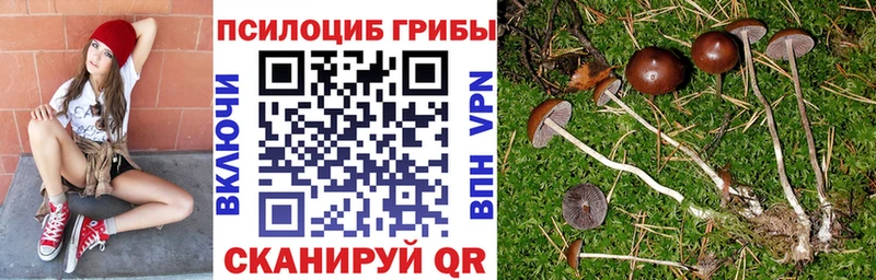 Купить  Иноземцево  Галлюциногенные грибы MAGIC MUSHROOMS 